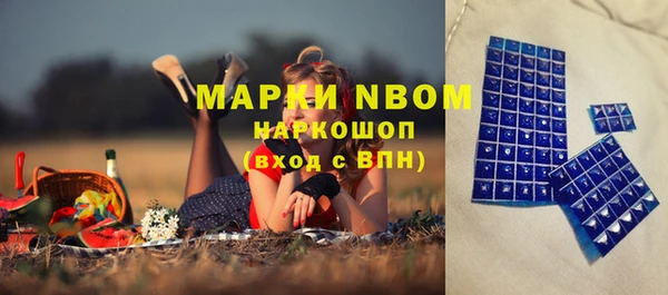 мдпв Бронницы