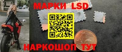 дмт Обь