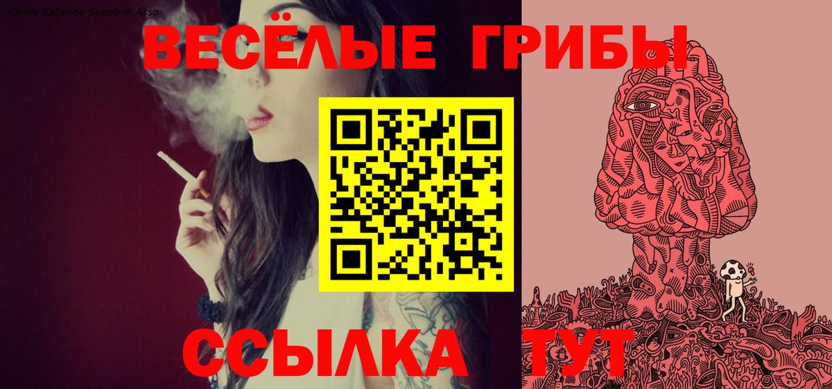 что такое наркотик  Галлюциногенные грибы Psilocybe  Вход с VPN  Буйнакск 