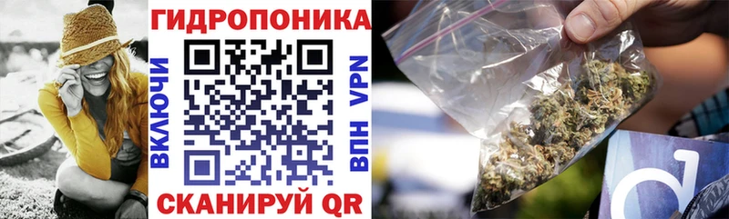omg ссылка  darknet наркотические препараты  Каннабис гибрид  Буйнакск 